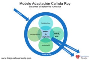 Modelo Adaptación Calista Roy Sistemas adaptativos humanos